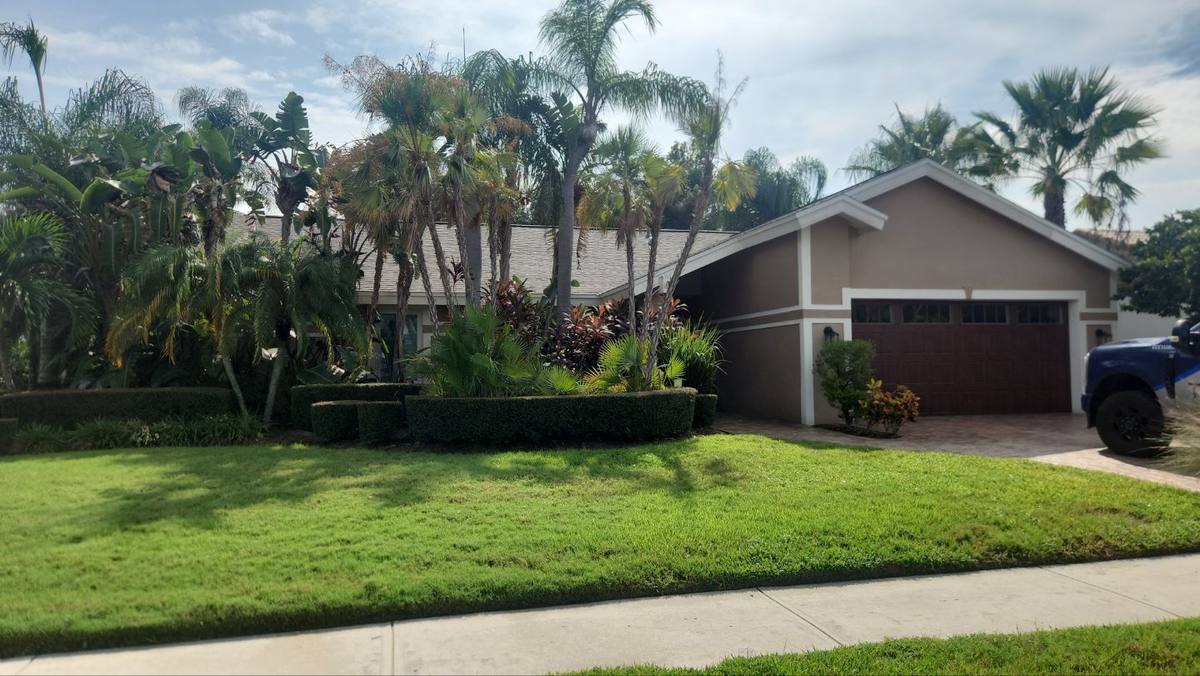 shingle roof replacement in Tampa, Florida