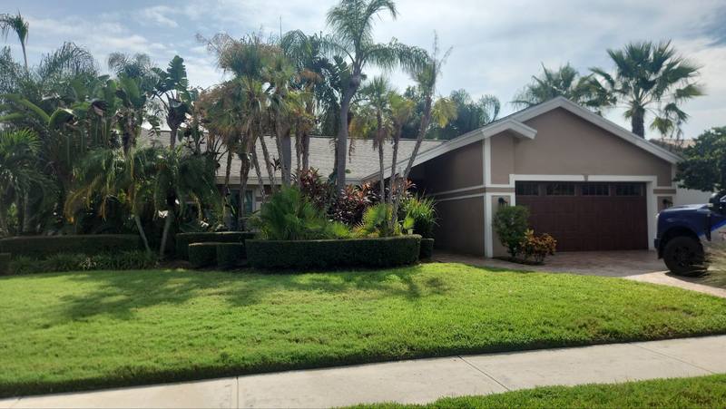 residential shingle roof replacement by Hloska Roofing in Tampa