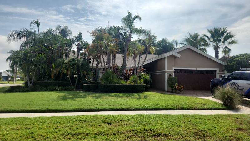 shingle roof replacement in Tampa, Florida