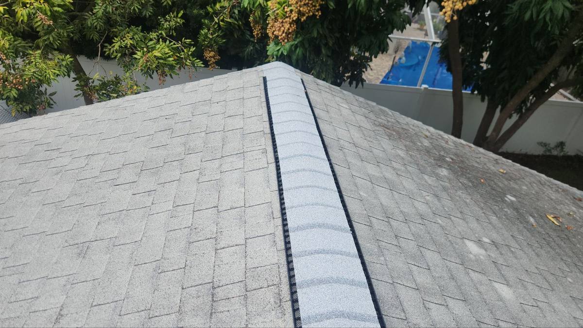 roof repair in Palm Harbor, Florida