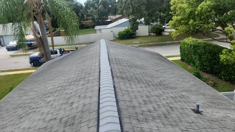 roofing project near Sugar Bear Trail in Palm Harbor