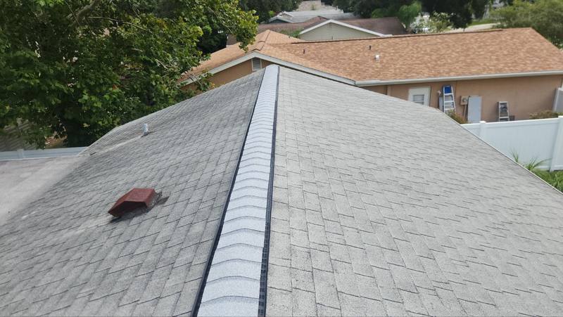roofing project near Sugar Bear Trail in Palm Harbor