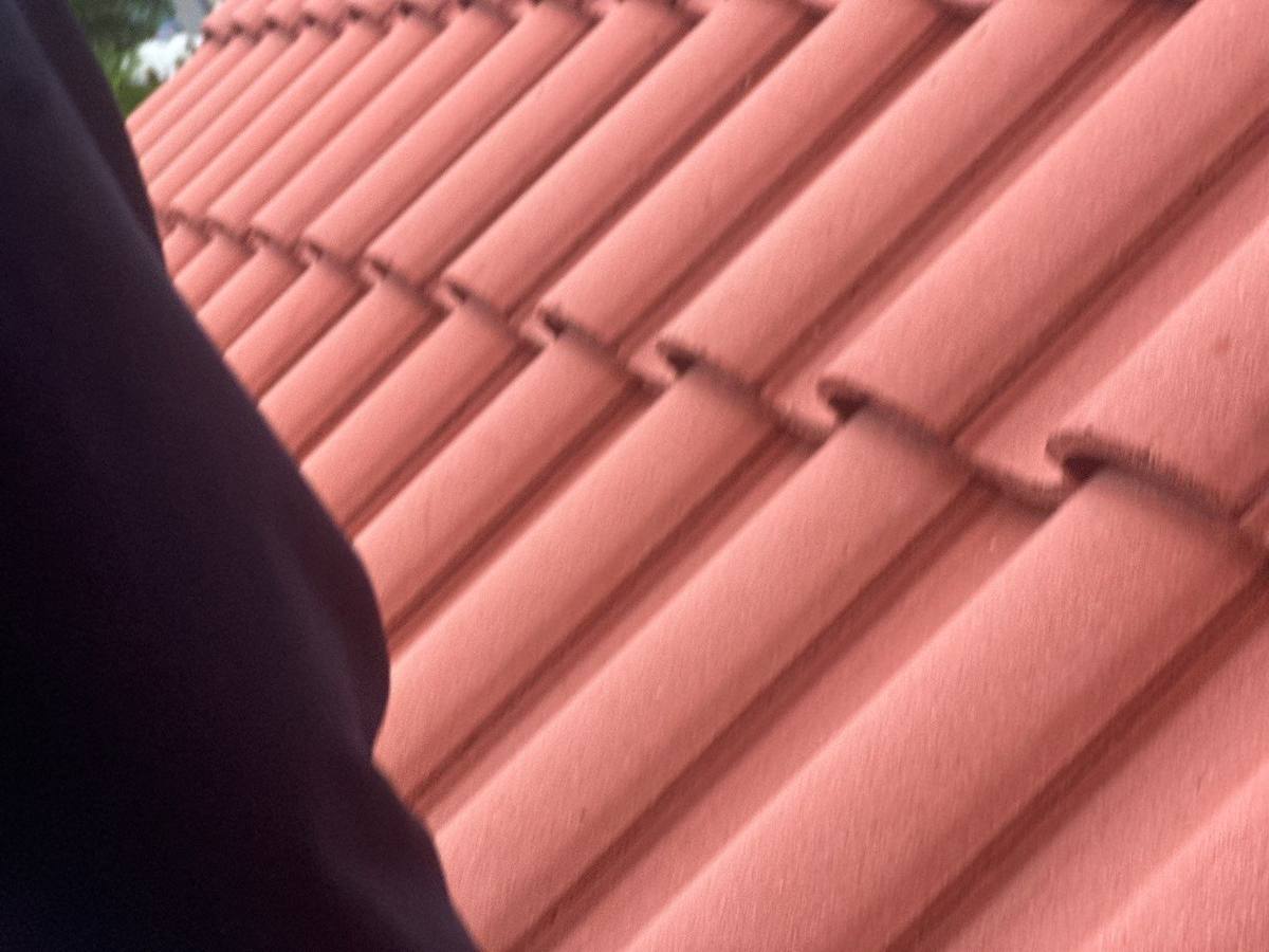roof repair in Tampa, Florida