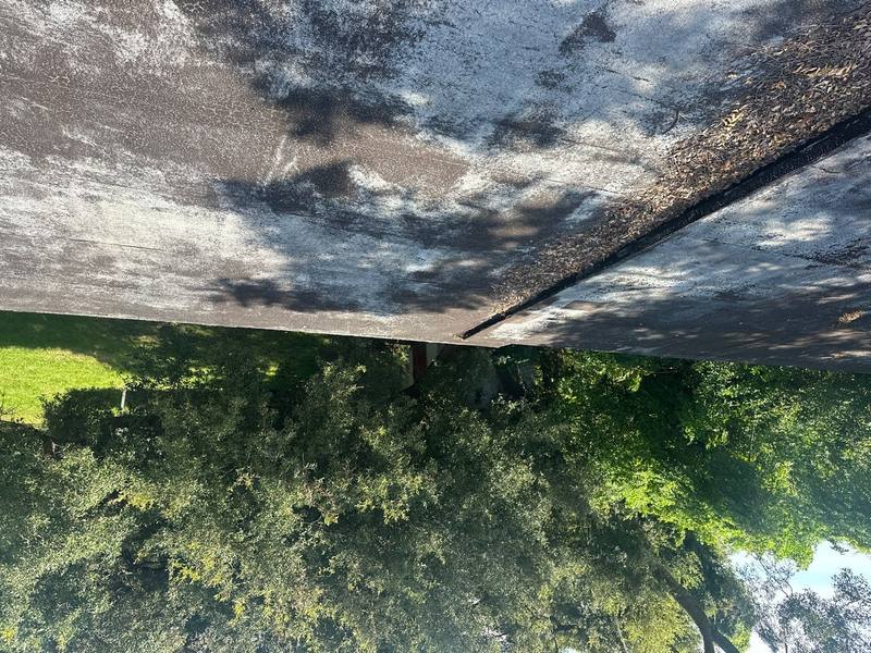 roof replacement in Clearwater, Florida