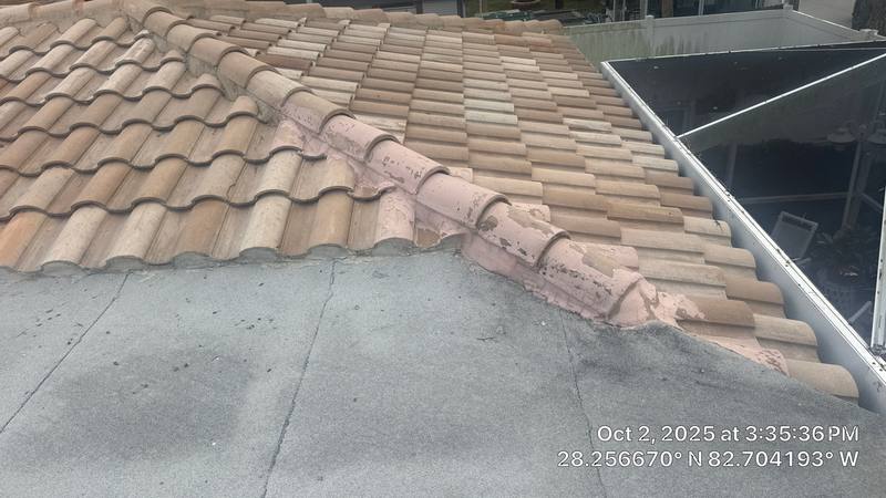 completed roofing project in New Port Richey FL