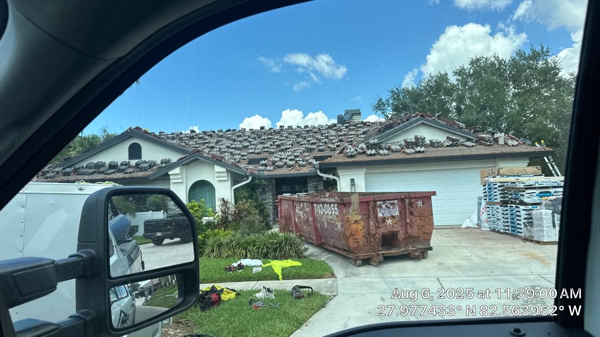 shingle roof replacement in Tampa, Florida