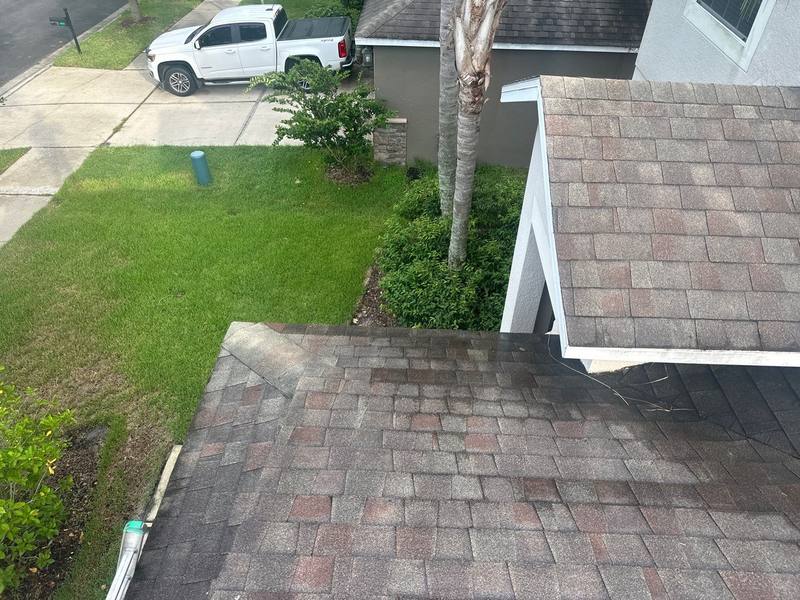 roofing project near Royal Fern Ct in Tampa