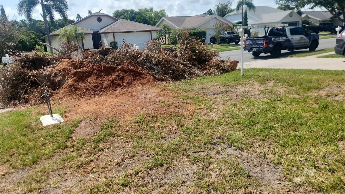 shingle roof replacement in Bradenton, Florida