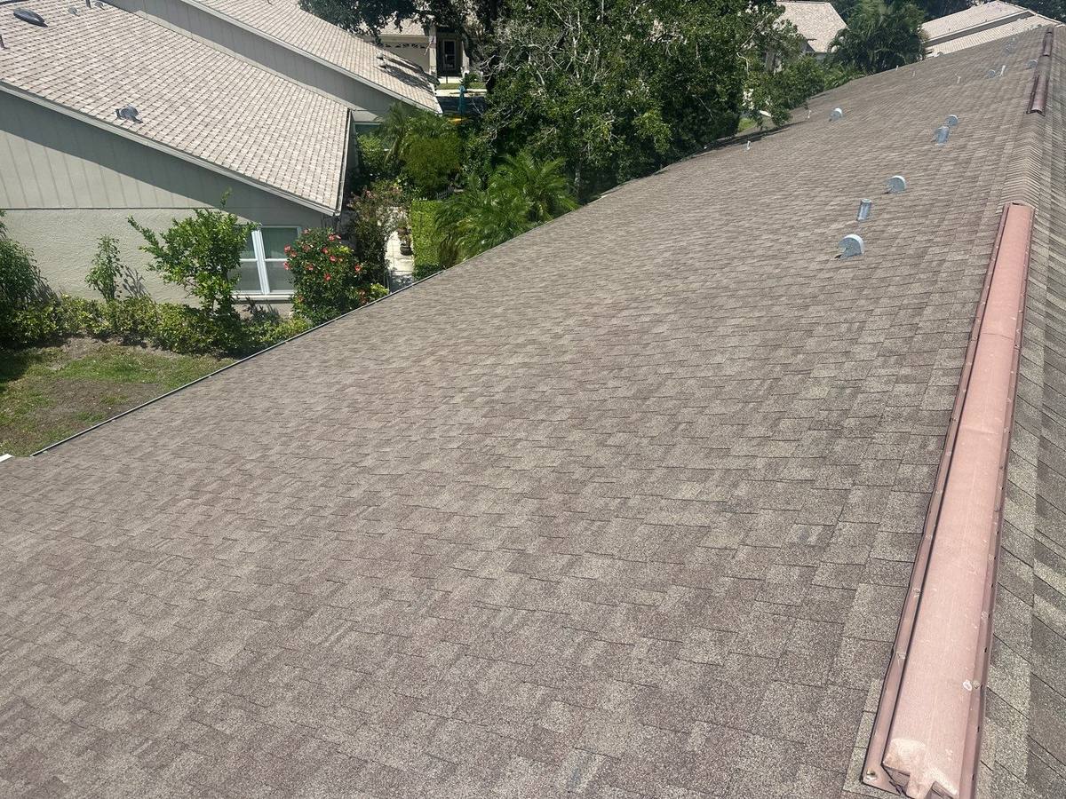 shingle roof replacement in Palm Harbor, Florida