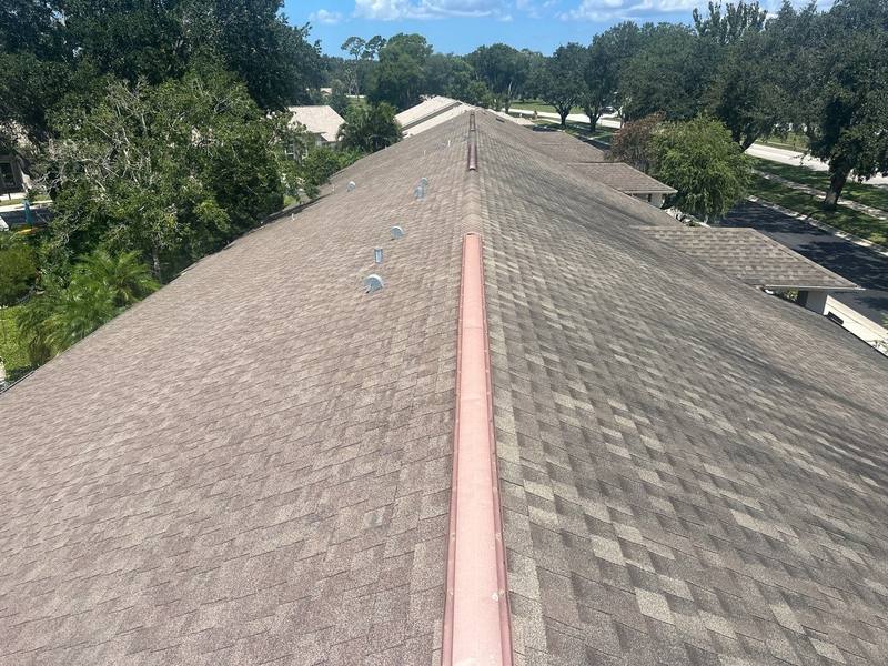shingle roof replacement in Palm Harbor, Florida