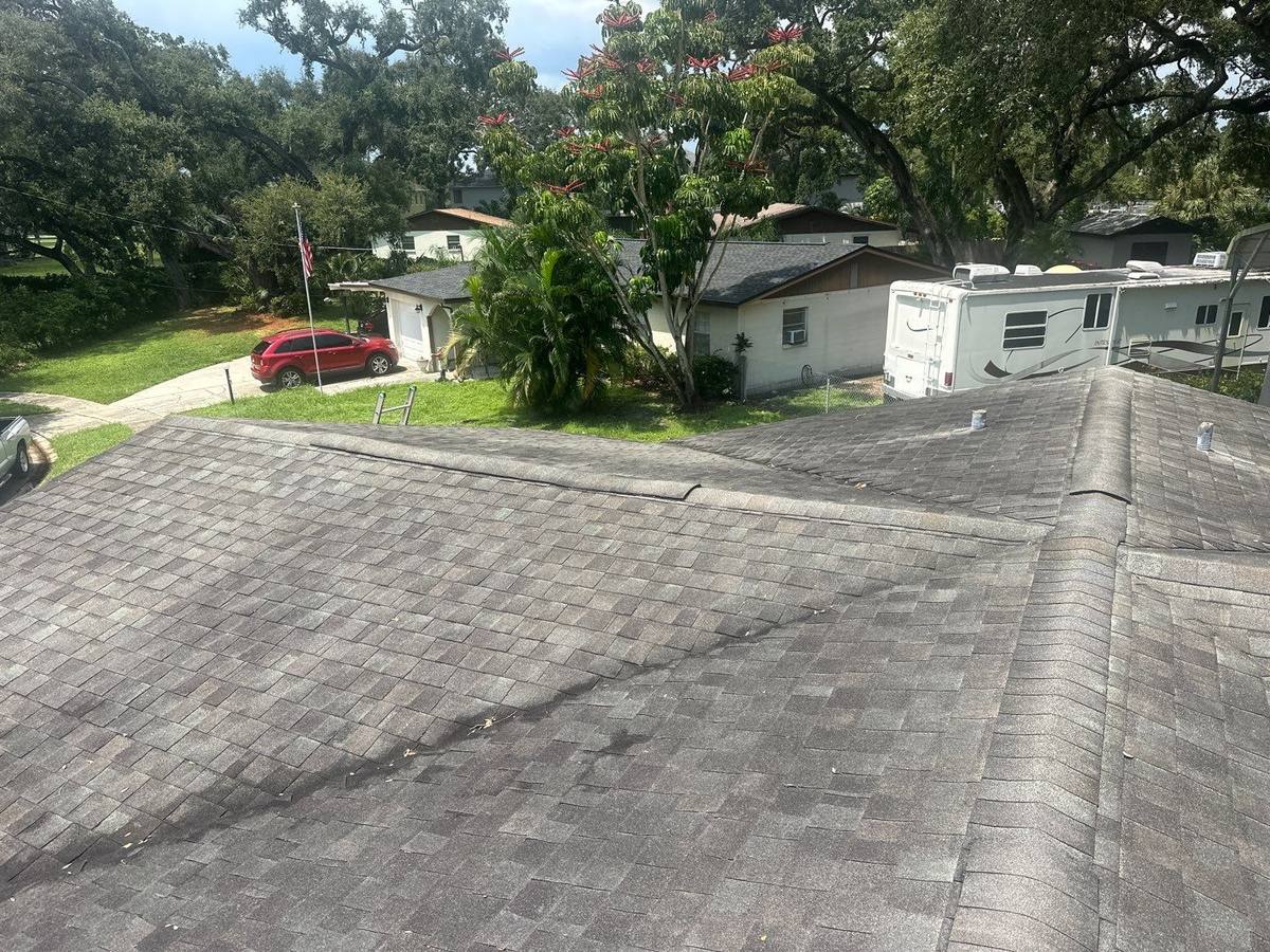 shingle roof replacement in Tampa, Florida