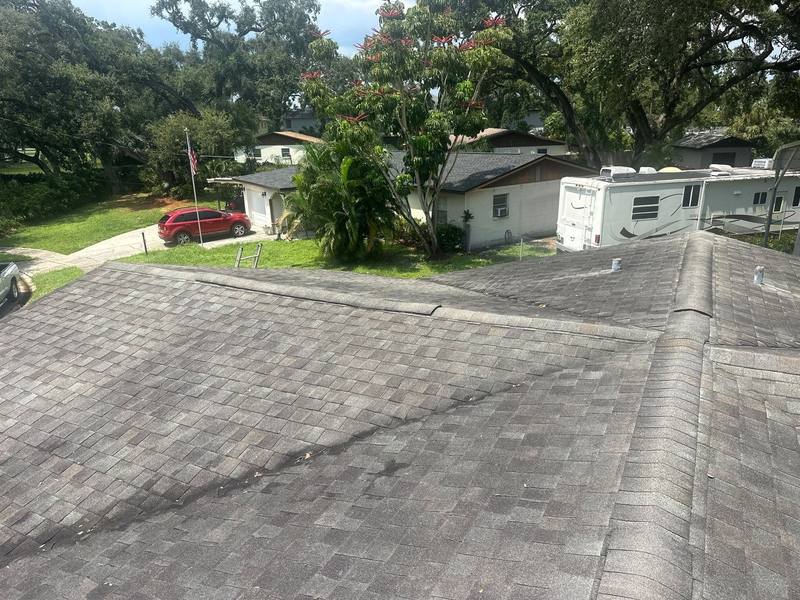 residential shingle roof replacement by Hloska Roofing in Tampa