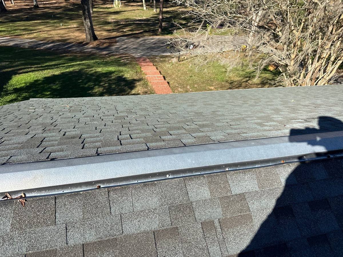 shingle roof replacement in Dade City, Florida