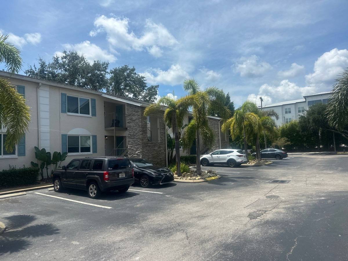 shingle roof replacement in Tampa, Florida