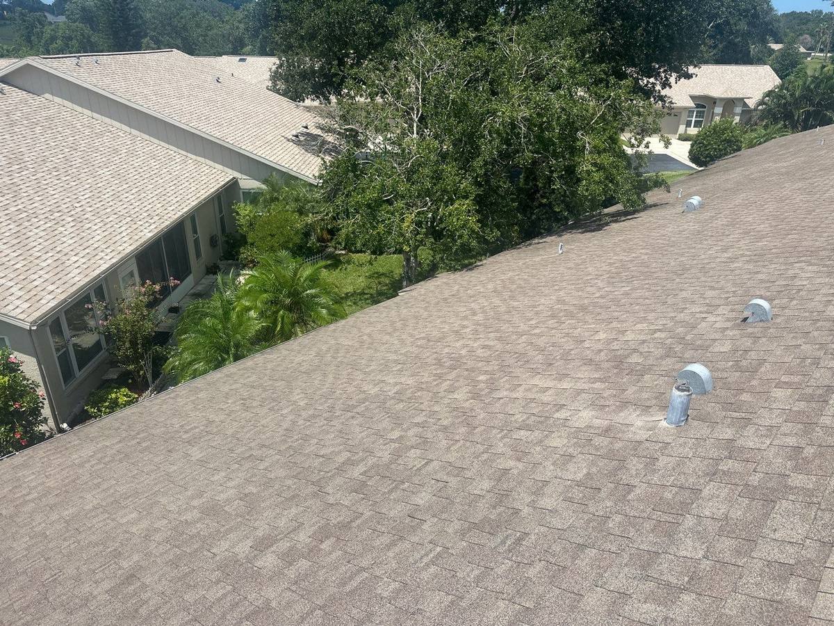 roof replacement in Palm Harbor, Florida