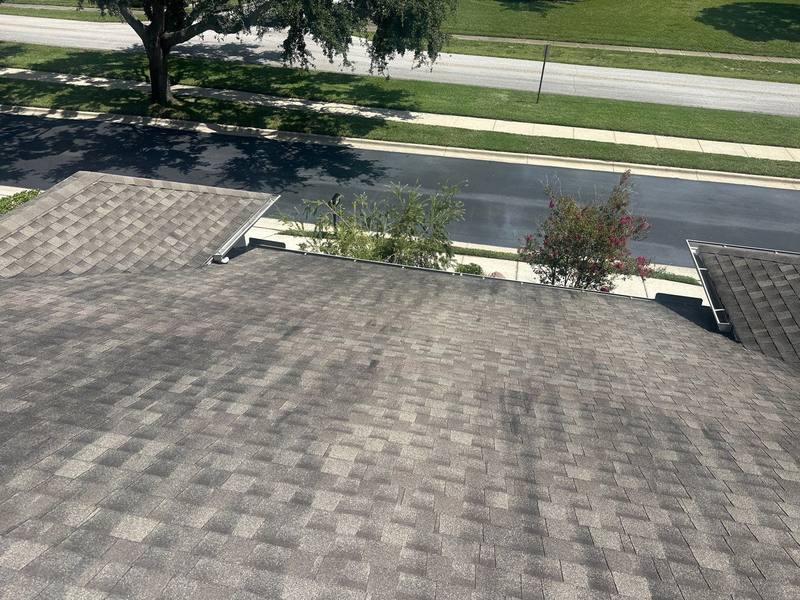 roof replacement in Palm Harbor, Florida