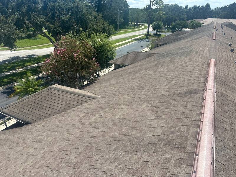 roofing project near Cayman Ct in Palm Harbor