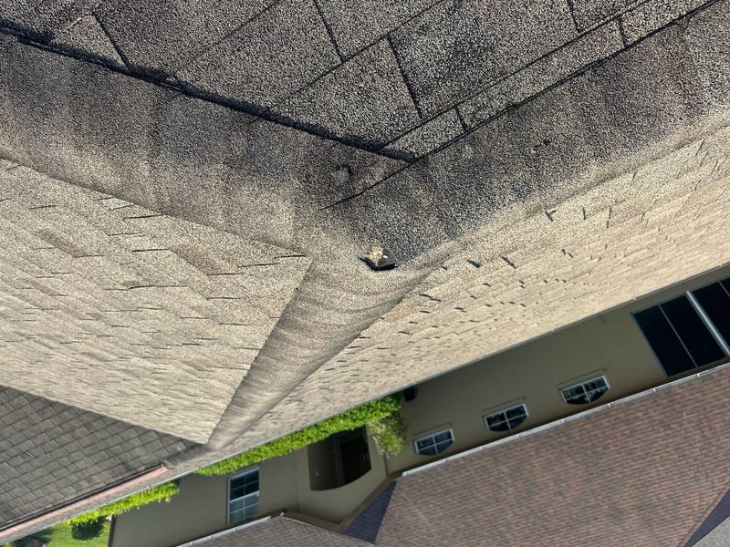 residential roof replacement by Hloska Roofing in Dade City