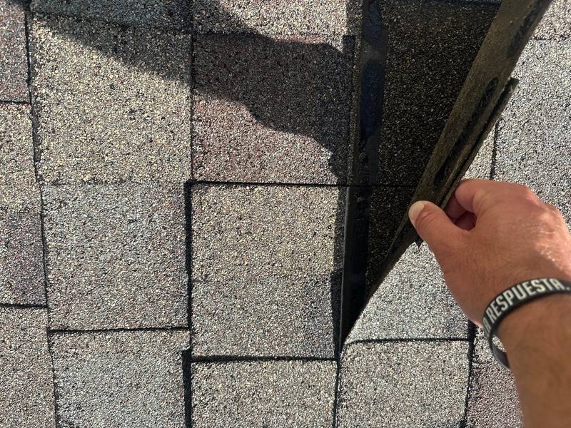 roof replacement in New Port Richey, Florida