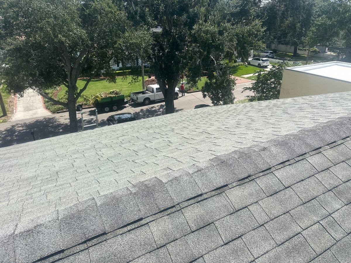 shingle roof replacement in Tampa, Florida