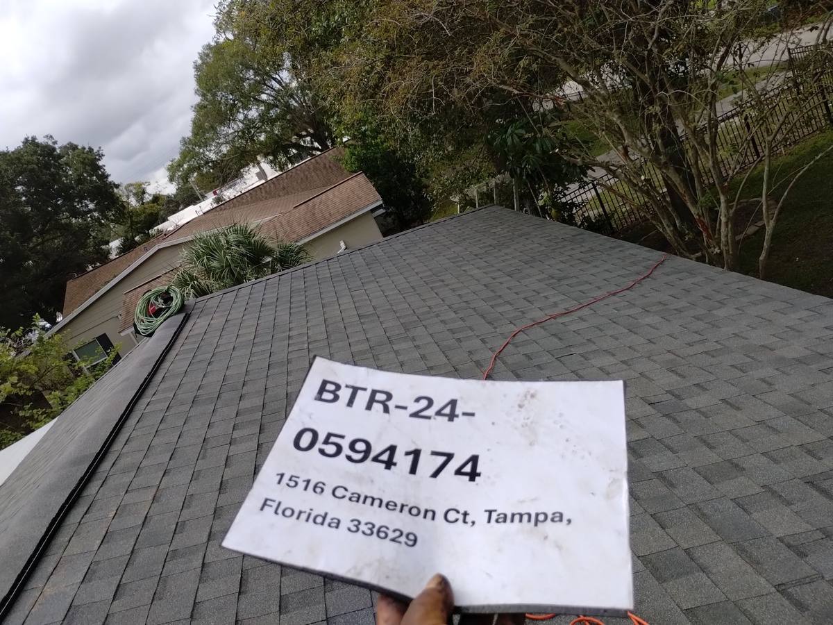 shingle roof replacement in Tampa, Florida