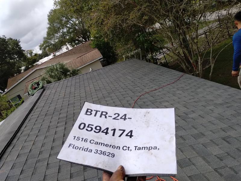 shingle roof replacement in Tampa, Florida
