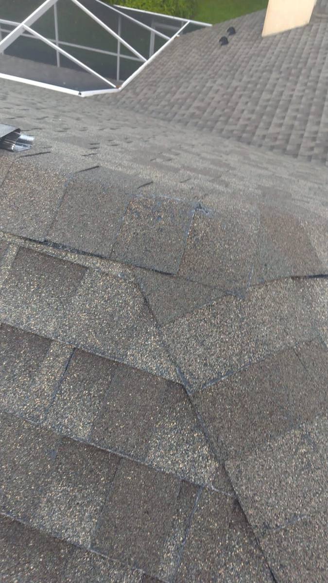 shingle roof replacement in Tampa, Florida