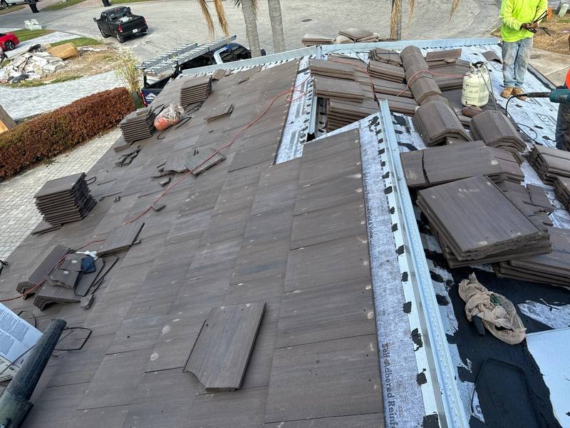 shingle roof replacement in St. Petersburg, Florida