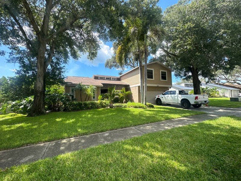 shingle roof replacement in Palm Harbor, Florida