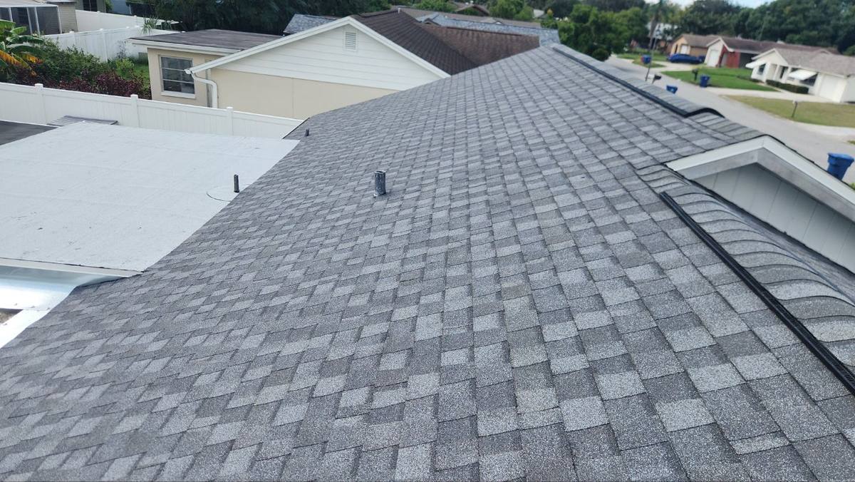 shingle roof replacement in New Port Richey, Florida