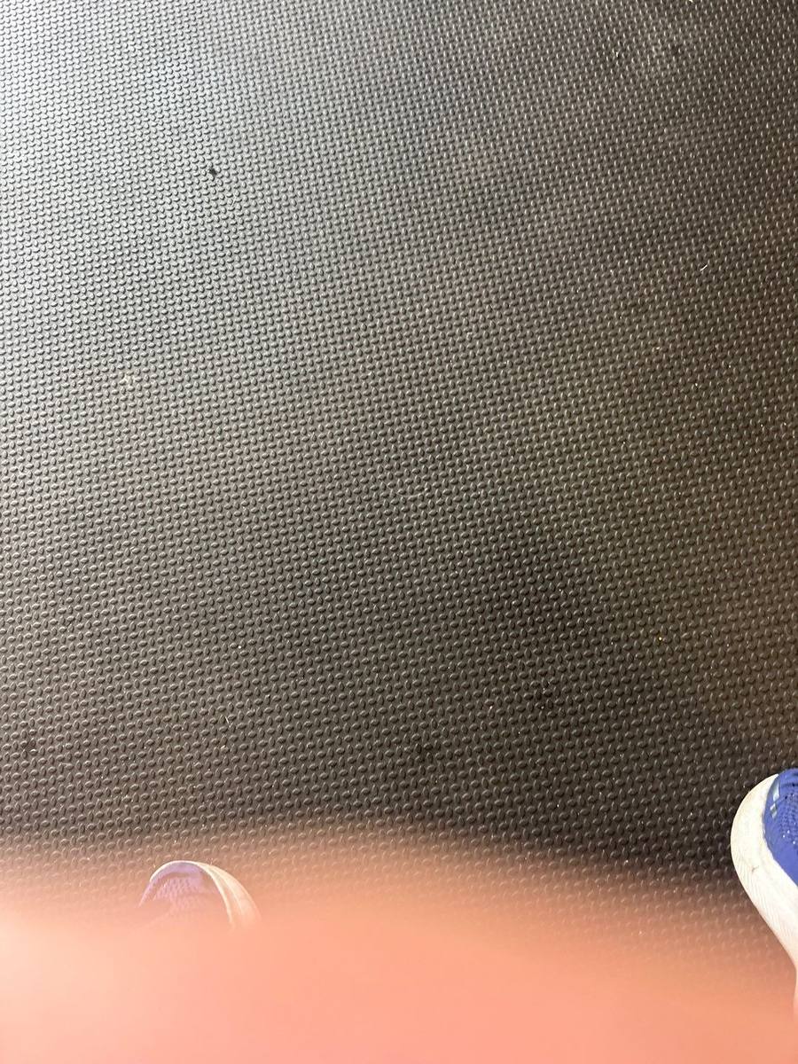 roof replacement in Palm Harbor, Florida