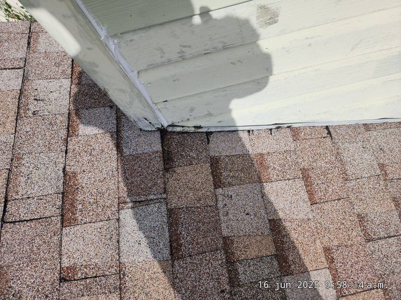 shingle roof replacement in Tampa, Florida
