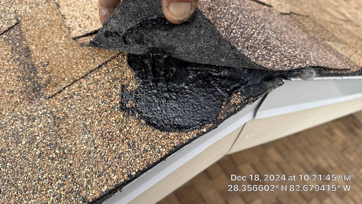 shingle roof replacement in Hudson, Florida