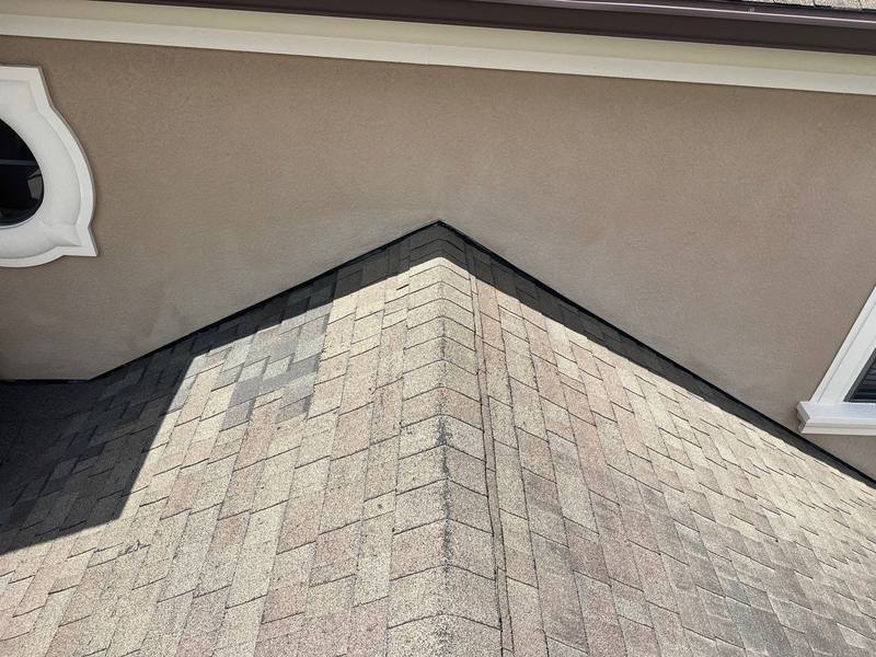 completed roofing project in Land O Lakes FL