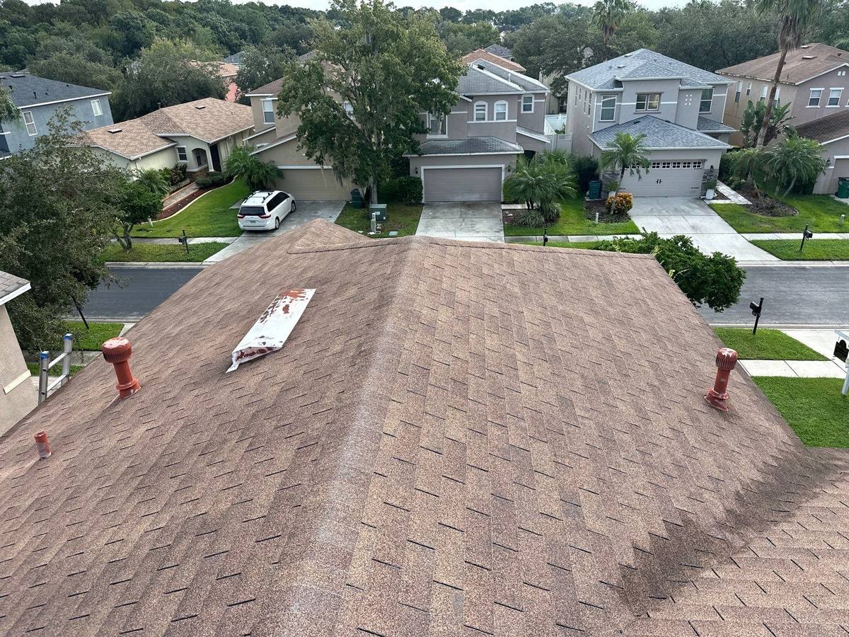shingle roof replacement in Wesley Chapel, Florida