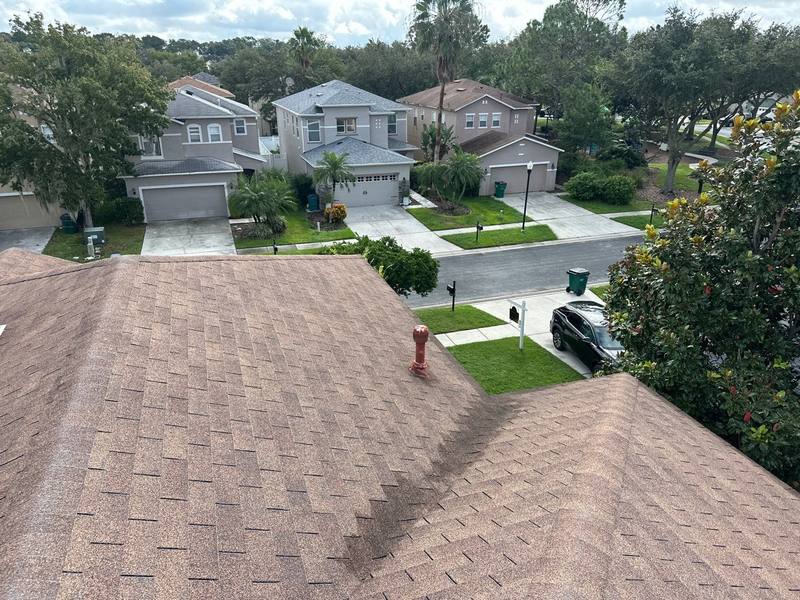 shingle roof replacement in Wesley Chapel, Florida