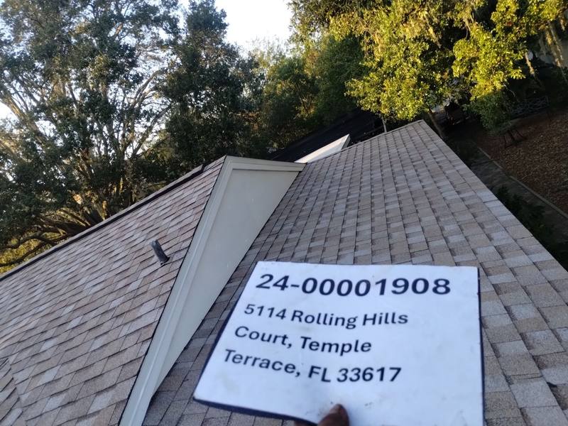 shingle roof replacement in Temple Terrace, Florida
