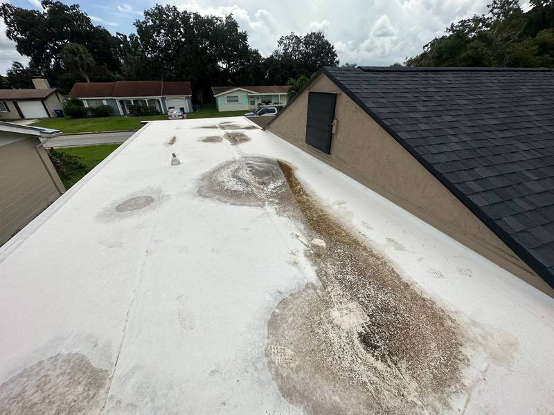 roof replacement in New Port Richey, Florida