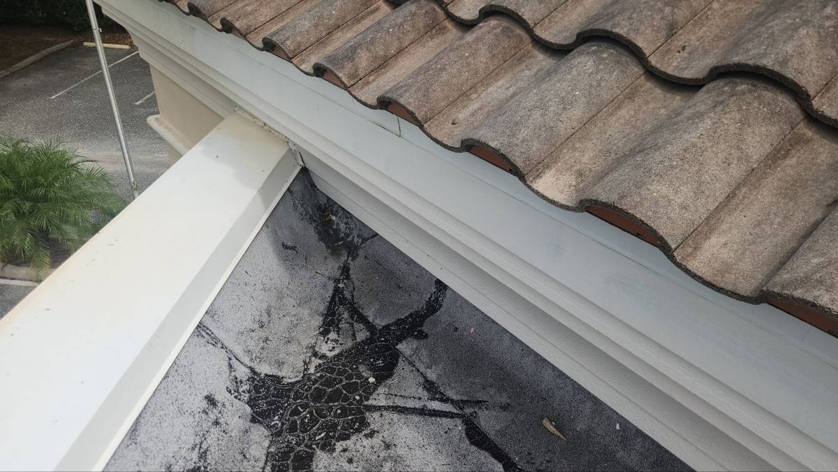 roof replacement in Zephyrhills, Florida