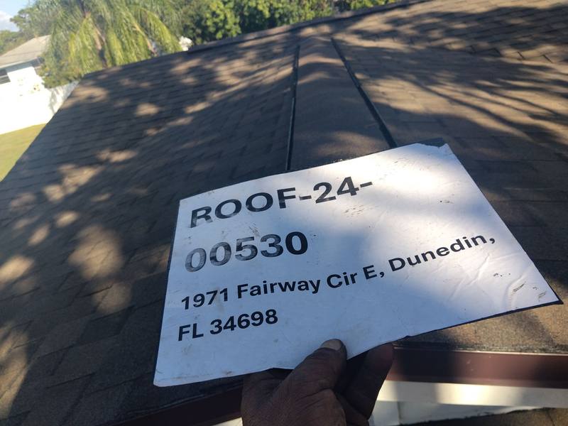 roof replacement in Dunedin, Florida
