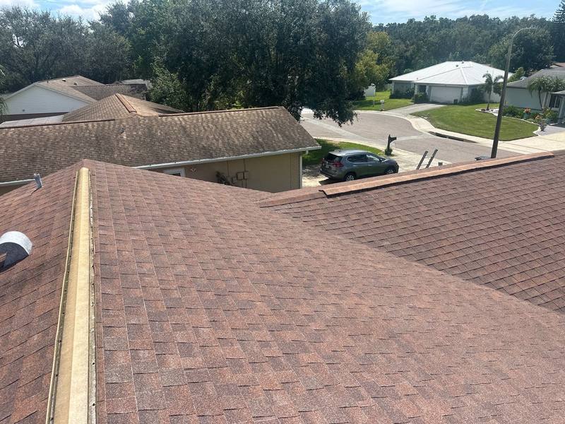 residential shingle roof replacement by Hloska Roofing in Safety Harbor