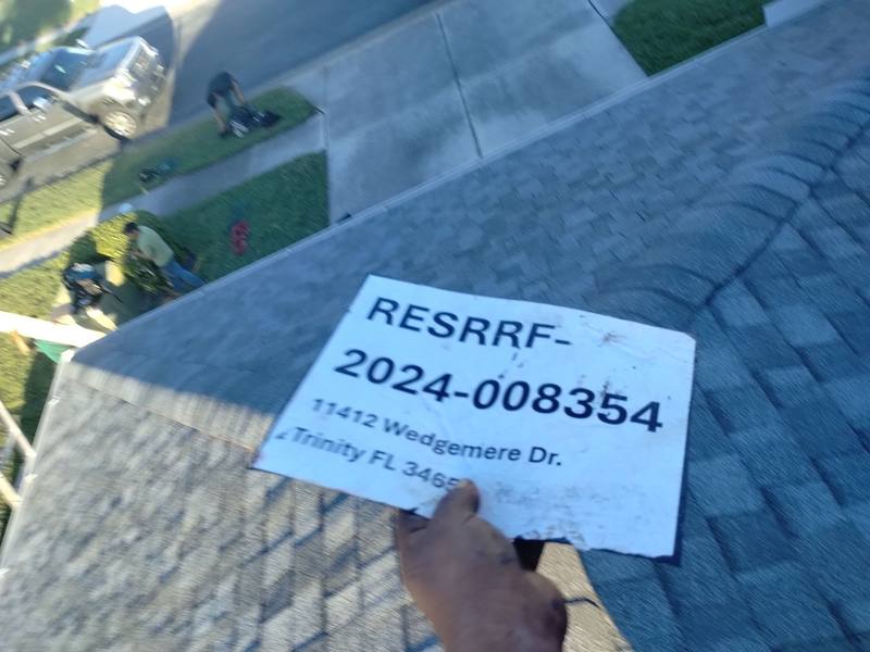 shingle roof replacement in Trinity, Florida
