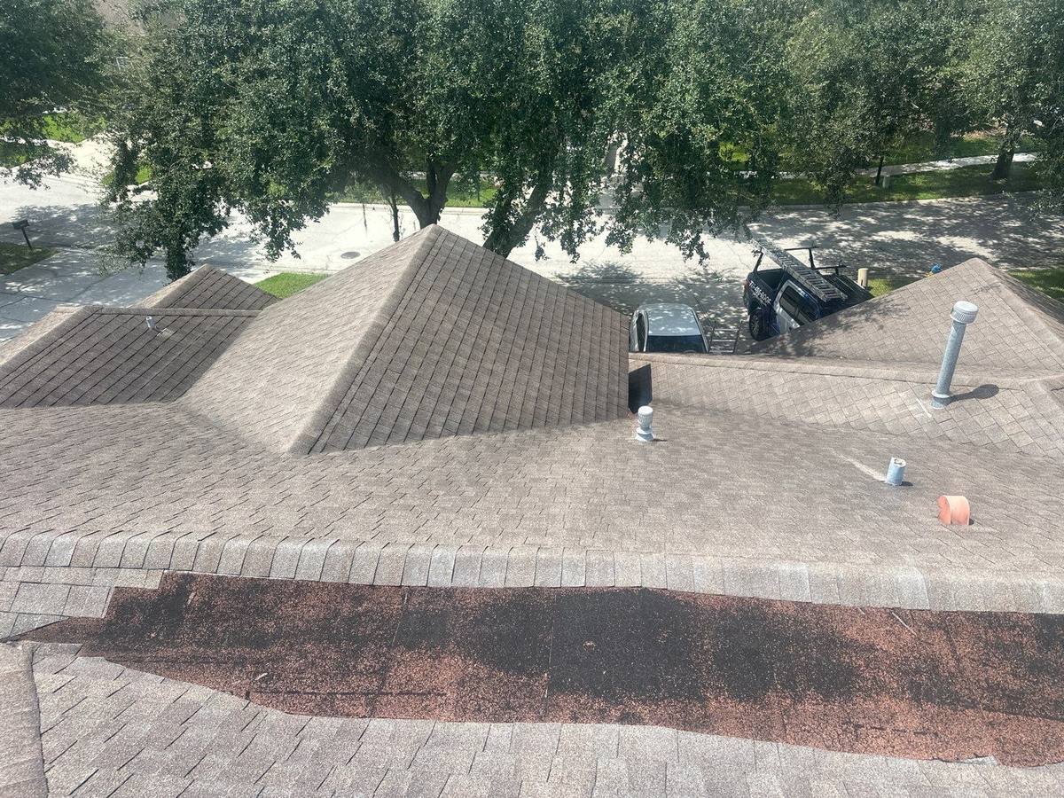 shingle roof replacement in Lithia, Florida