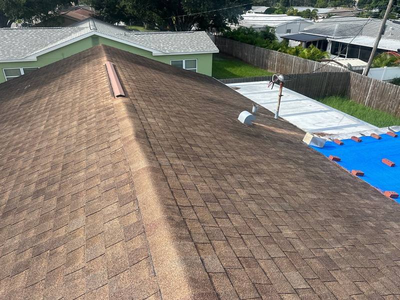 residential shingle roof replacement by Hloska Roofing in St. Petersburg