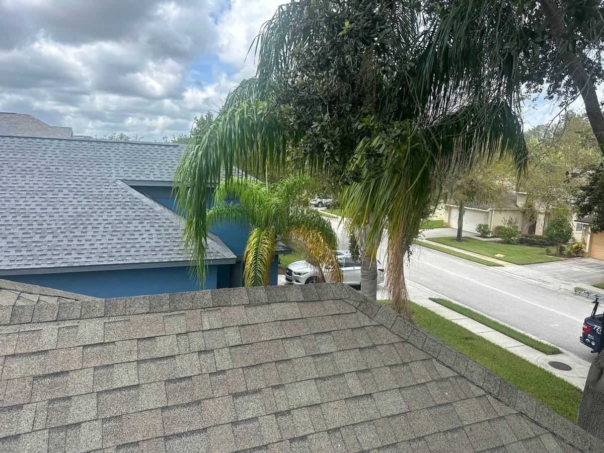 shingle roof replacement in Wesley Chapel, Florida