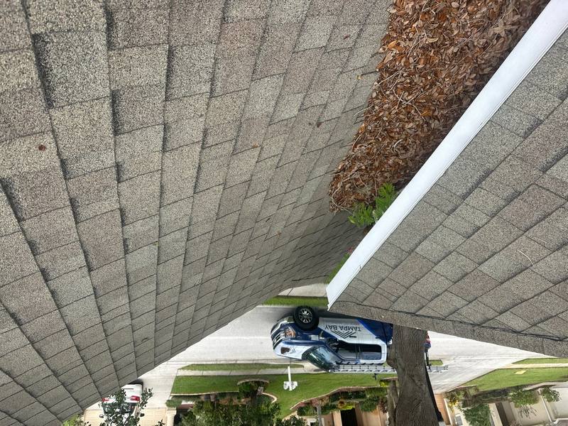 residential shingle roof replacement by Hloska Roofing in Wesley Chapel
