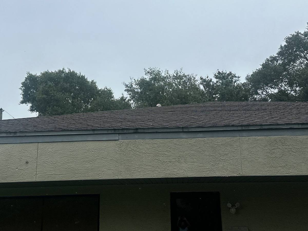 roof replacement in Lutz, Florida