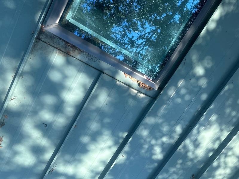 roof repair in Palm Harbor, Florida