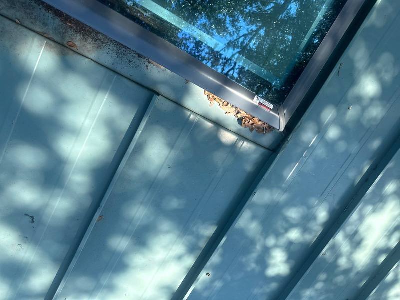 roofing project near Sequoia Terrace in Palm Harbor