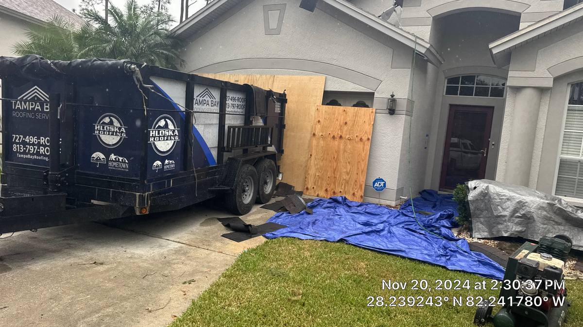 shingle roof replacement in Trinity, Florida